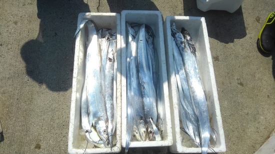 石定丸の釣果 2019年9月12日 掲載