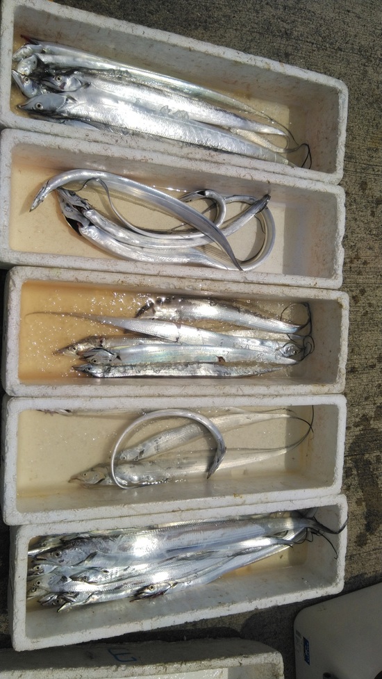 石定丸の釣果 2022年8月 5日 掲載