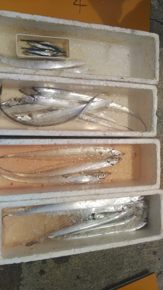 石定丸の釣果 2022年8月 6日 掲載