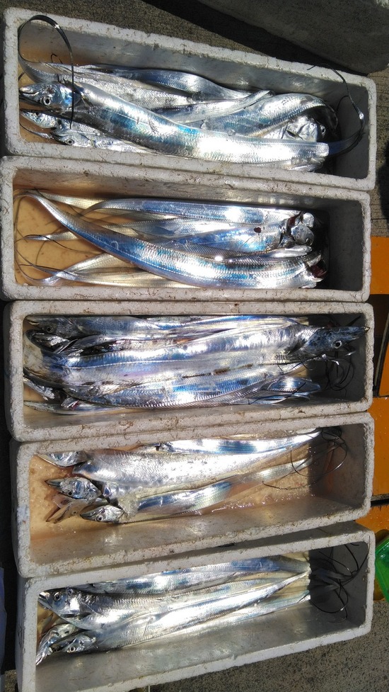 石定丸の釣果 2022年8月19日 掲載