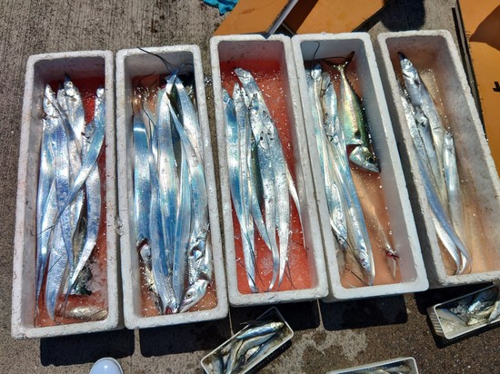 石定丸の釣果 2023年8月12日 掲載