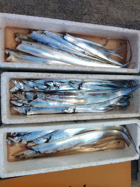 石定丸の釣果 2023年8月21日 掲載