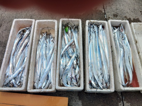 石定丸の釣果 2023年9月 5日 掲載