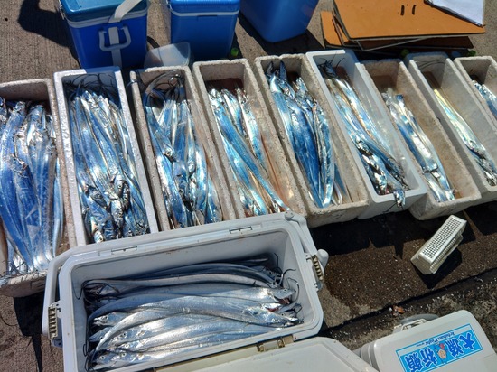 石定丸の釣果 2023年9月18日 掲載