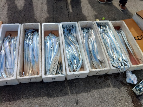 石定丸の釣果 2023年10月 7日 掲載