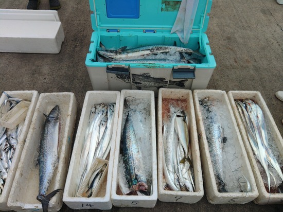 石定丸の釣果 2023年10月14日 掲載