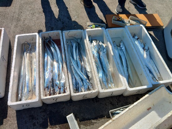 石定丸の釣果 2023年10月19日 掲載