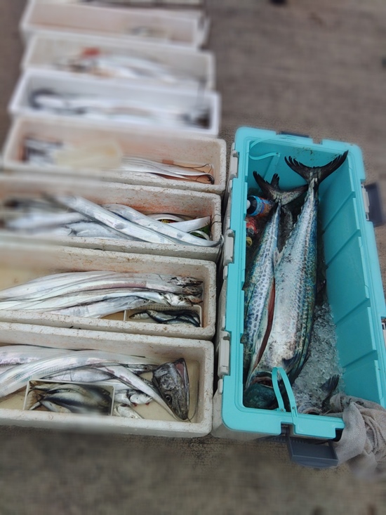 石定丸の釣果 2024年9月28日 掲載