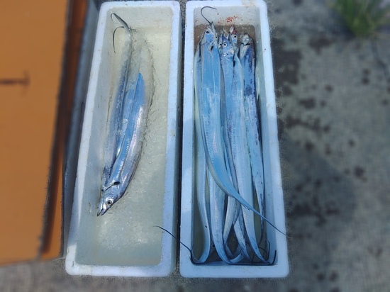 石定丸の釣果 2025年7月21日 掲載