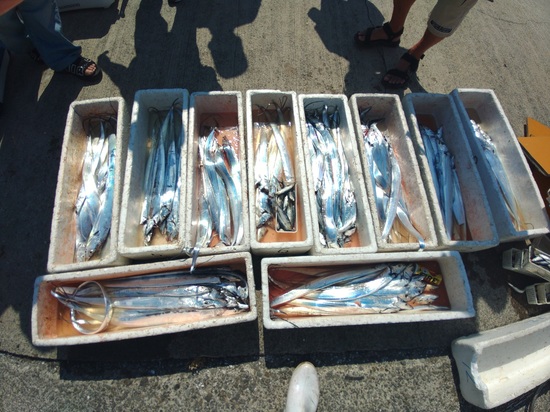 石定丸の釣果 2025年9月16日 掲載