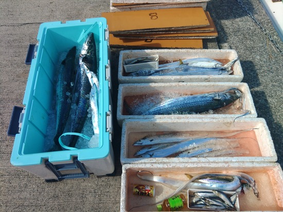 石定丸の釣果 2025年10月18日 掲載