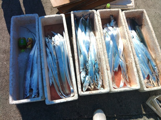 石定丸の釣果 2025年10月29日 掲載