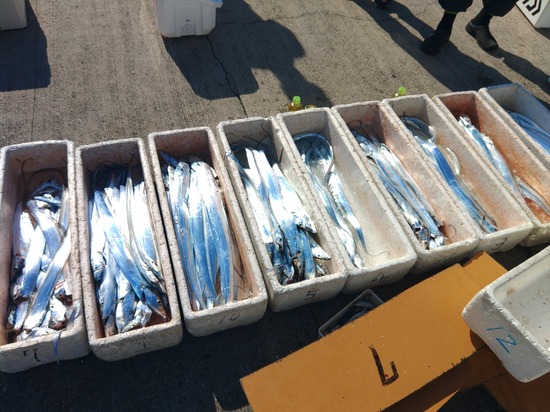 石定丸の釣果 2025年10月30日 掲載