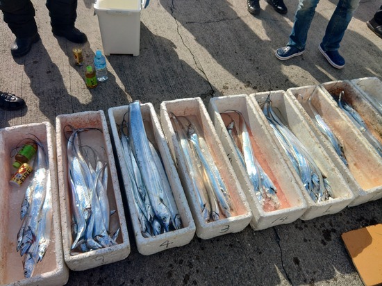 石定丸の釣果 2025年11月11日 掲載