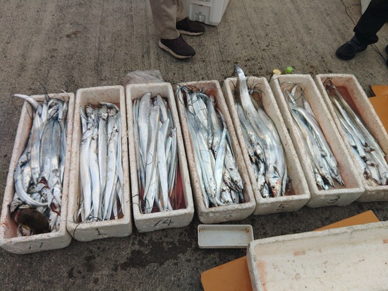 石定丸の釣果 2025年11月13日 掲載