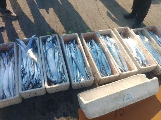 石定丸の釣果 2025年11月14日 掲載