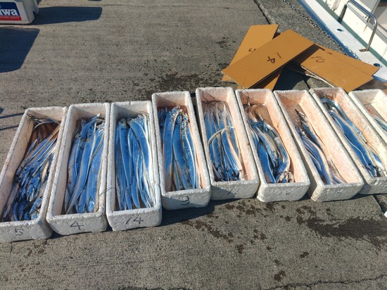 石定丸の釣果 2025年11月15日 掲載