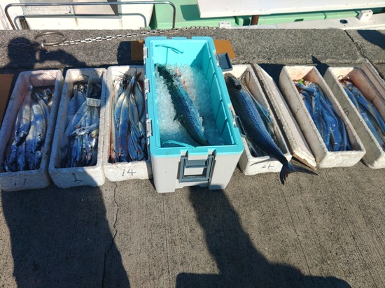 石定丸の釣果 2025年11月16日 掲載