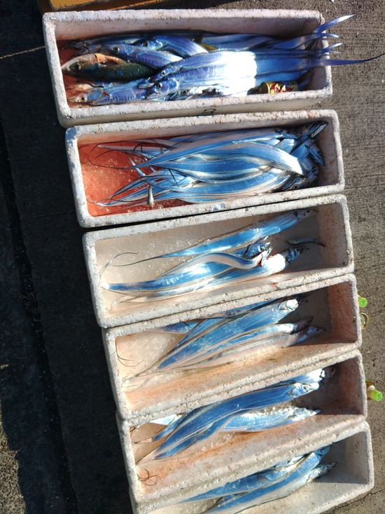 石定丸の釣果 2025年11月20日 掲載