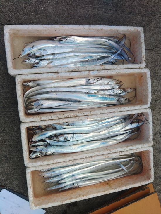 石定丸の釣果 2025年11月21日 掲載