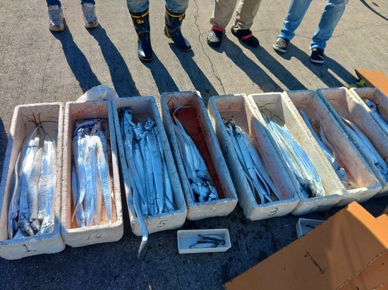 石定丸の釣果 2025年11月23日 掲載