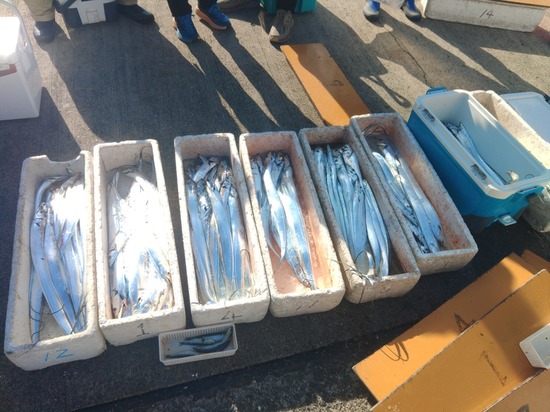 石定丸の釣果 2025年11月24日 掲載