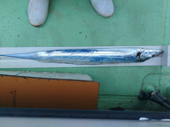 石定丸の釣果 2025年11月27日 掲載