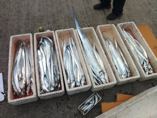 石定丸の釣果 2025年11月27日 掲載