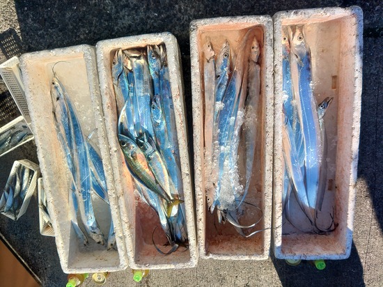 石定丸の釣果 2025年11月30日 掲載