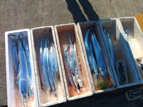 石定丸の釣果 2025年12月 6日 掲載