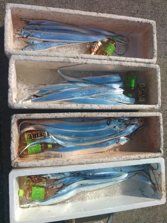 石定丸の釣果 2025年12月10日 掲載