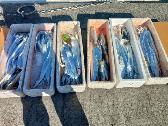 石定丸の釣果 2025年12月13日 掲載