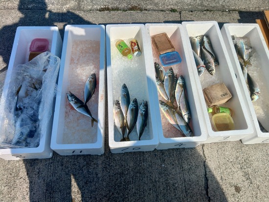 石定丸の釣果 2026年2月21日 掲載