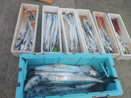 石定丸の釣果 2026年9月19日 掲載