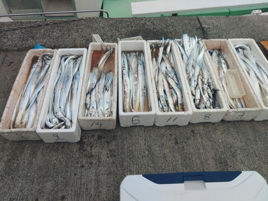石定丸の釣果 2026年9月26日 掲載